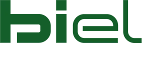 Biel Divani
